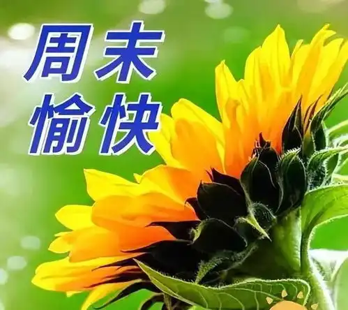 11月18日星期六漂亮早上好问候动态表情图片最新版