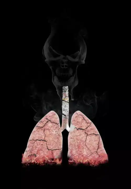 心脏怕咸,肾脏怕肉,血管怕激躲过这些伤害,才能延年益寿