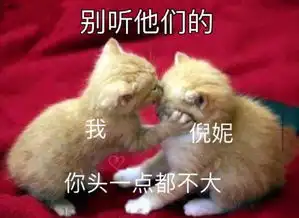 土味缘宸汐缘倪妮新造型,好看炸了