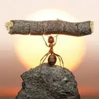 赐我力量图片搞笑神赐我力量图片带字