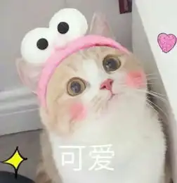 金牛座和摩羯座在一起合适吗