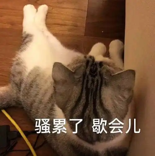 有钱人上班的原因