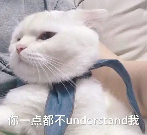身为猫奴才了解的事,猫咪这些有趣又让人不解的习惯,你家猫有吗