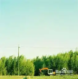 拍摄不同天气的光线特征
