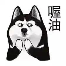 玩游戏就能延长寿命奥地利人用ipad让狗子永葆青春