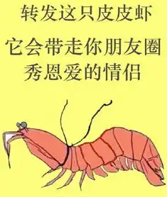 上海遇见你本身就是一首最动人的情诗