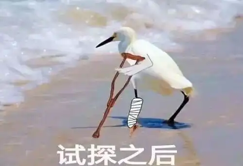围观丨2018年网络流行词大盘点
