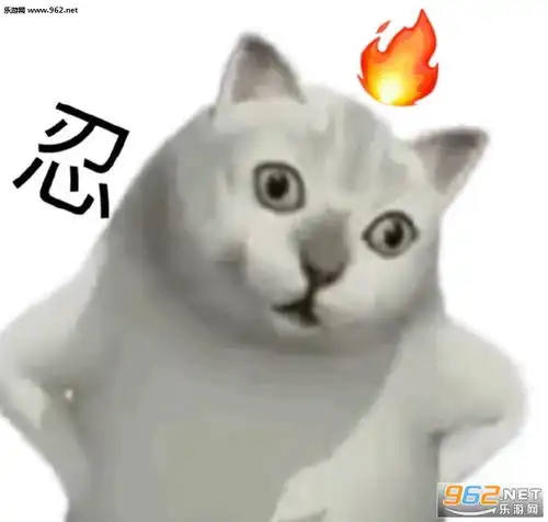 mur猫就你妈斜门表情包mur猫表情包大全下载乐游网游戏下载