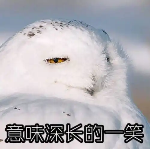 我要打得过你还会浪费时间跟你bb