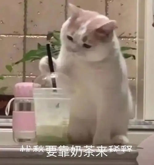 怎样称体重会轻一点
