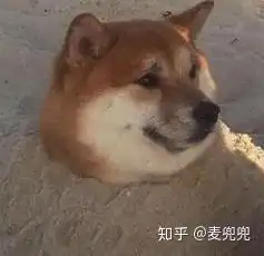 有哪家淘宝店的光腿神器最逼真自然
