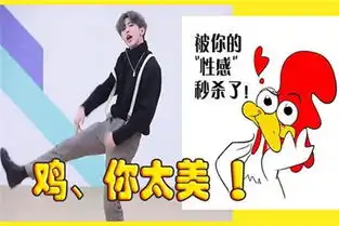 鸡你太美手游怎么玩蔡徐坤鸡你太美手游玩法介绍