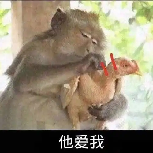 拔毛系列表情包