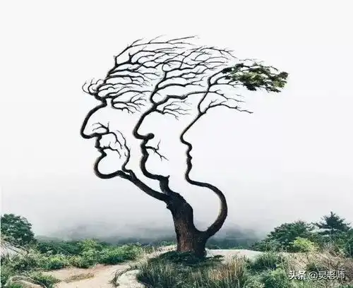 如果一切重来,我还是想当妈妈,你呢
