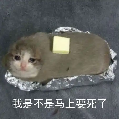 我是不是马上要死了竹鼠表情包近期斗图表情包精选20181228斗图表情