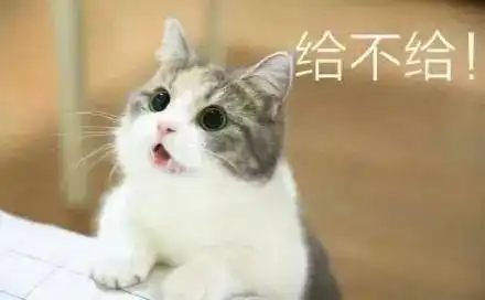 抖音球球表情包