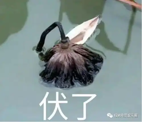 为了保命,大家都很拼啊