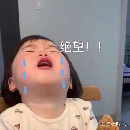 养猫前,先测测你适合养猫吗
