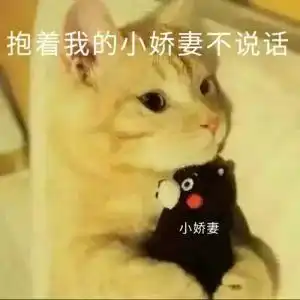 前任3好姑娘都是被宠出来的