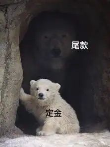 每日神段子丨我等快递的时候真是毫无尊严