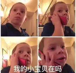每日表情丨猪猪女孩必备