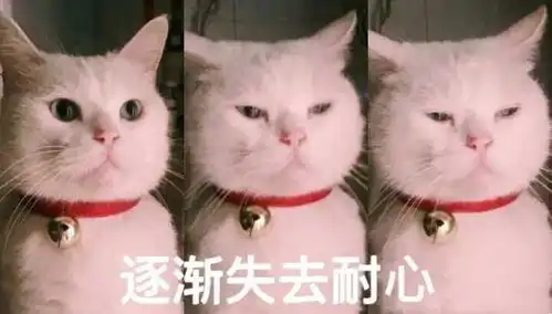 如何避免成为一个讨人嫌的准新郎,请老公熟记这10条准则