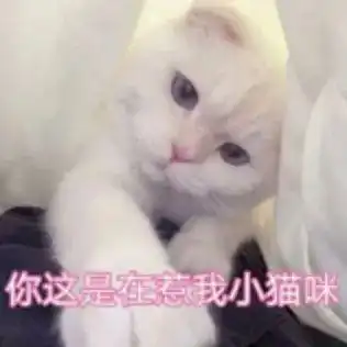 受到惊吓丨第960期喵表情包