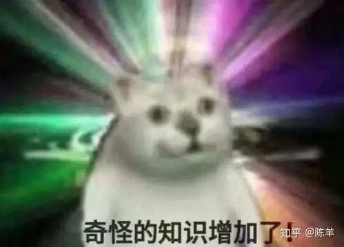 4个好用到爆的app大学的你,点开不后悔