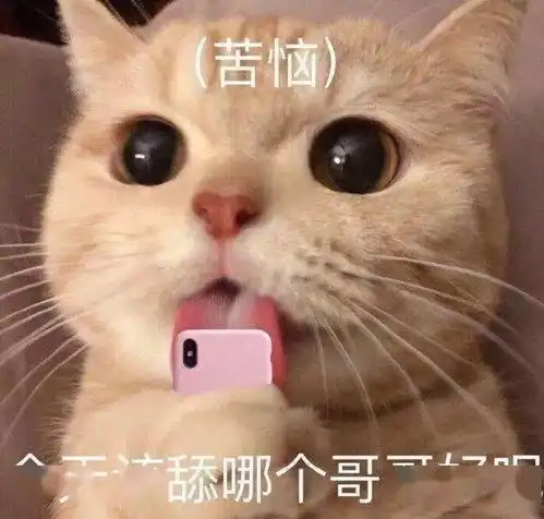 沙雕聊天表情包