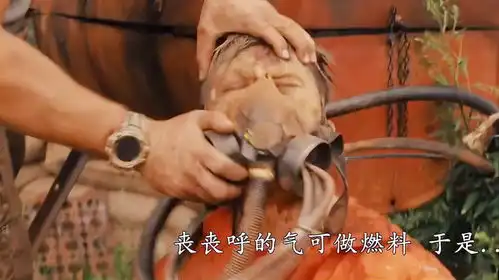 把丧尸运用到极致的男人,真的绝了哈哈哈
