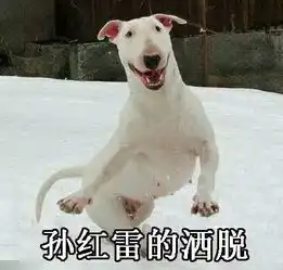 明星动物神撞脸qq表情包