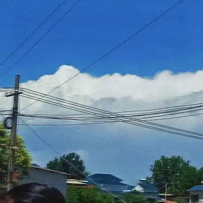 花朵鲜花风景静物头像