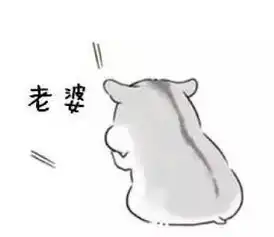 哄老婆专用仓鼠表情包合集老婆大人对不起