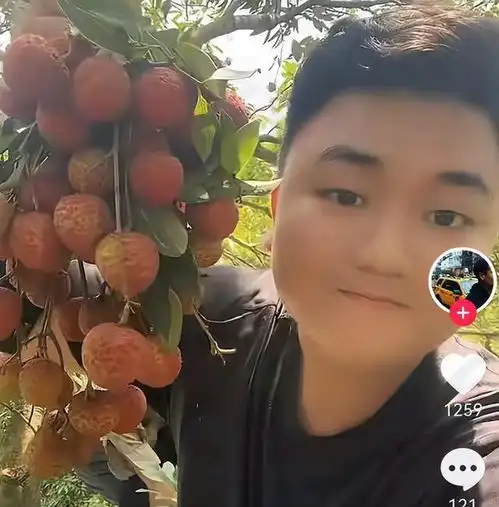 全红婵果园大丰收爸爸摘荔枝品尝起来,表情太逗,妥妥的喜剧人