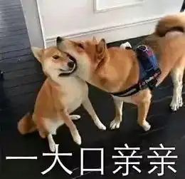快看十月份部门之星哦