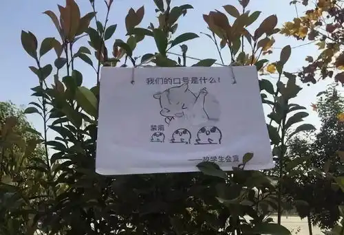 好不容易见到一个男人,我绝对不会放你走丨爆笑囧图