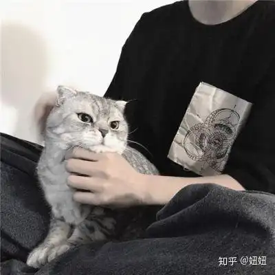 男女生部位头像