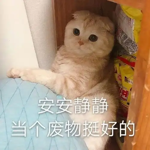 表情包滚开啊,狗东西