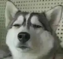 求这只狗狗其他表情包,还有麻烦把这张图的字母去掉