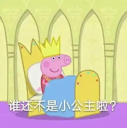 喵星人营养指南,帮你分清必需与智商税