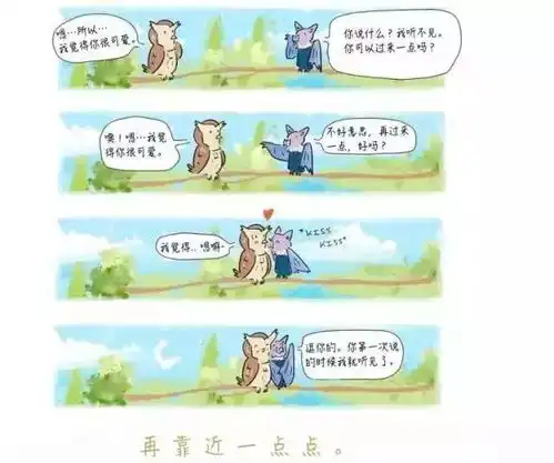 超暖心的动物漫画,有意思