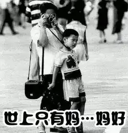 2017年度表情包大赏小猪佩奇,笑着活下去,边缘试探.你最爱哪个