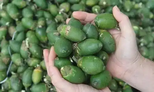 每分钟有7人得癌症不想癌症找上你,平时远离这5种致癌食物