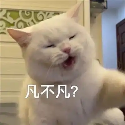 无水印表情包l回我一句可以吗