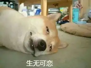 新年到了没点狗年表情包怎么在道上混