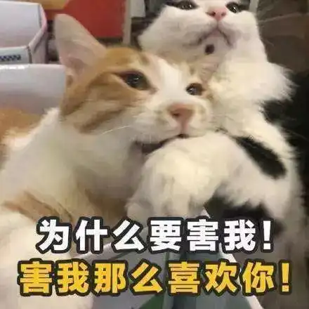 2018年网络热词盘点,你都听过哪个
