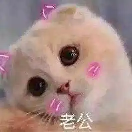 泡泡