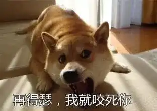 新年到了没点狗年表情包怎么在道上混