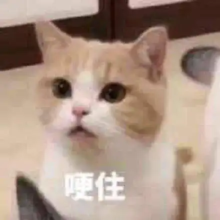 笑死450㎡江景房装修只花4500,今年最潮叙利亚风,就问你服不服