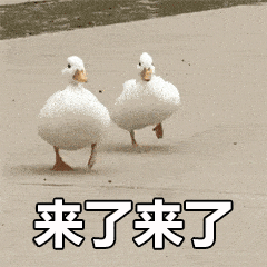 最近很火的抓鸭子是什么梗表情包来了